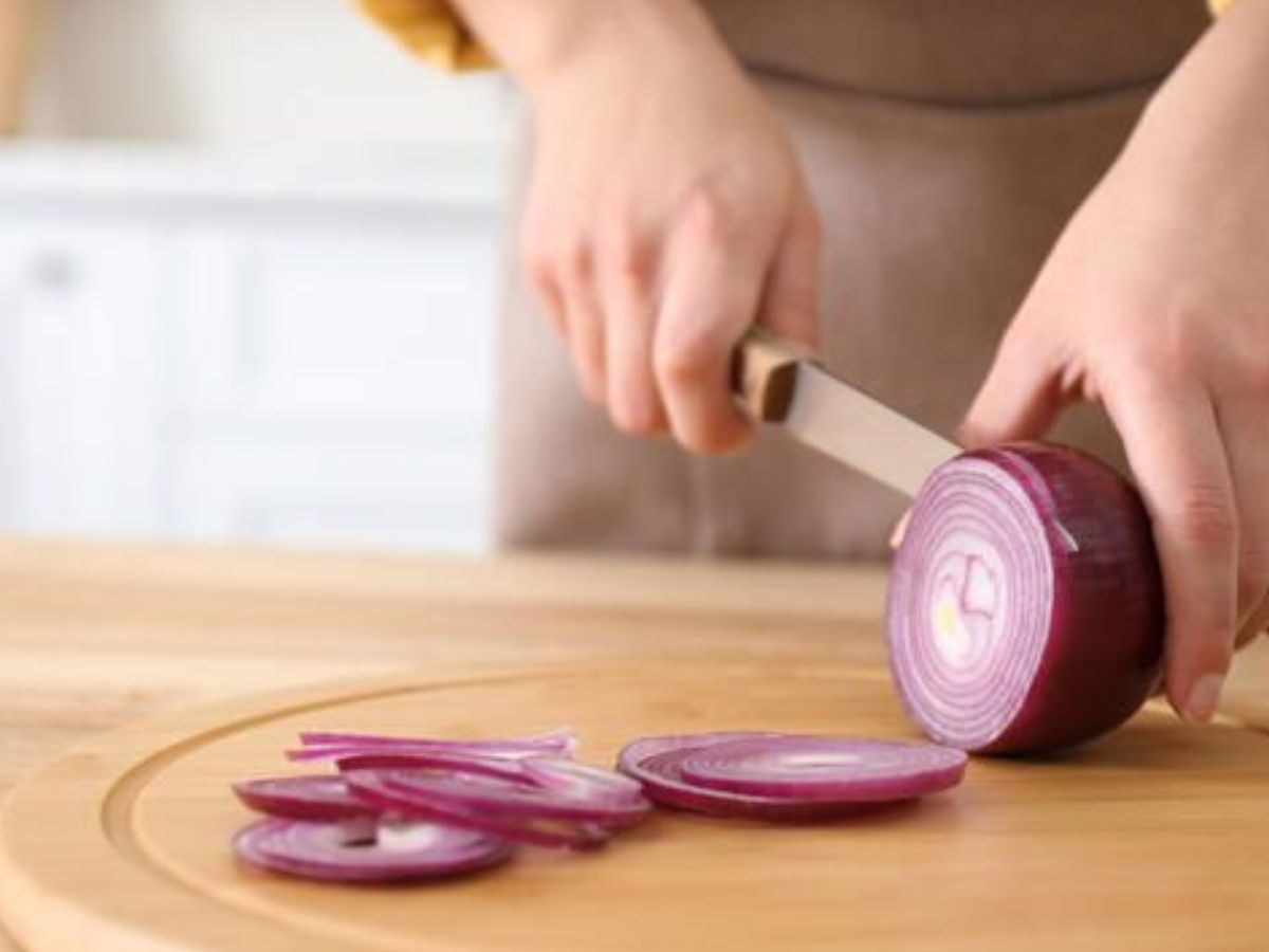 अगर गर्मियों में छिपकलियों से आप भी हो गए हैं परेशान तो अपना ले ये घरेलू नुस्खे - Photo Gallery