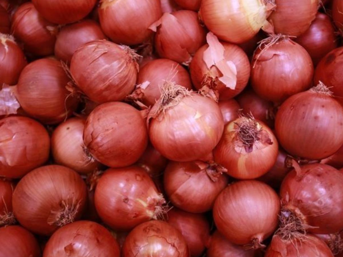 7 Food Items You Should Not Refrigerate: अगर आप भी अपने फ्रिज में रखते है इन सब चीजों को तो हो जाइए सावधान - Photo Gallery