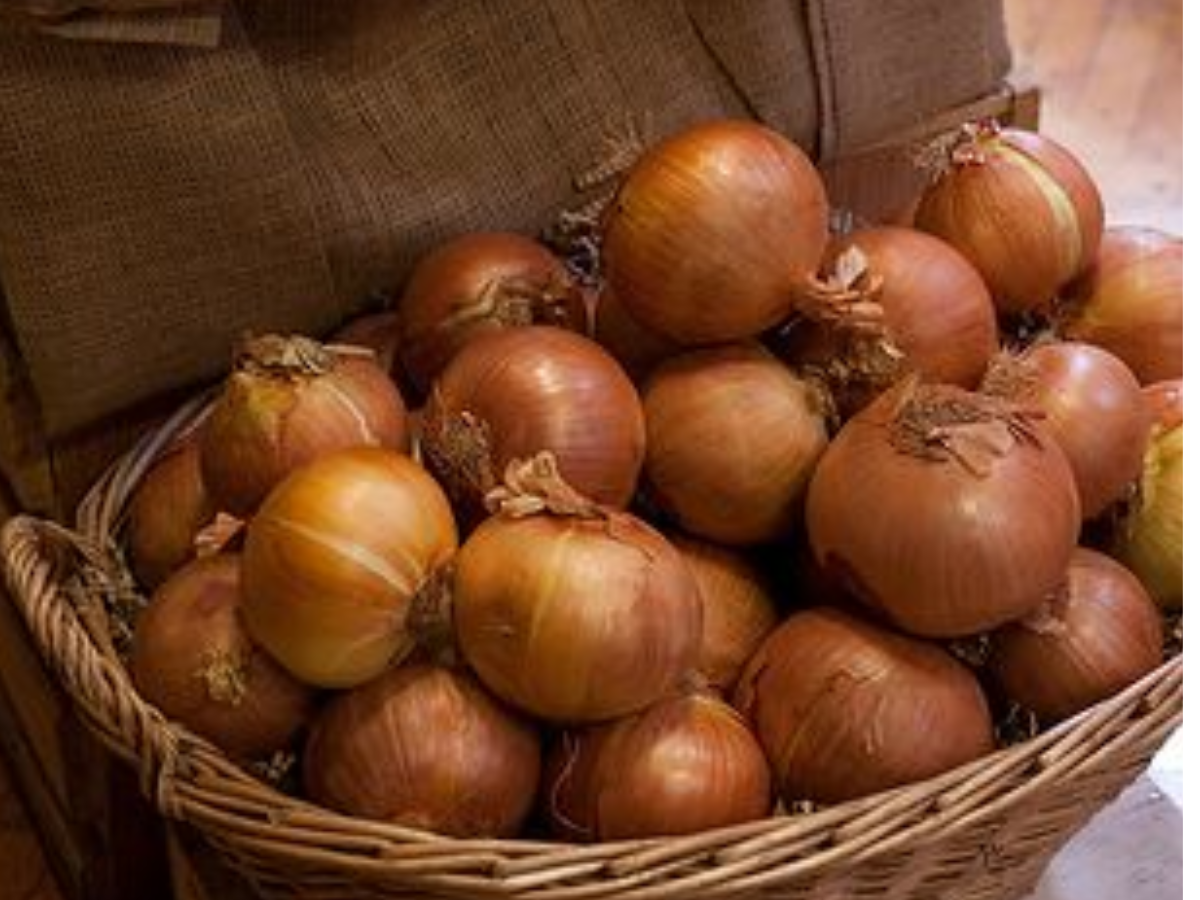 अगर आपके पास भी नहीं है फ्रिज तो अपनाएं ये कुछ खास नुस्खे - Photo Gallery