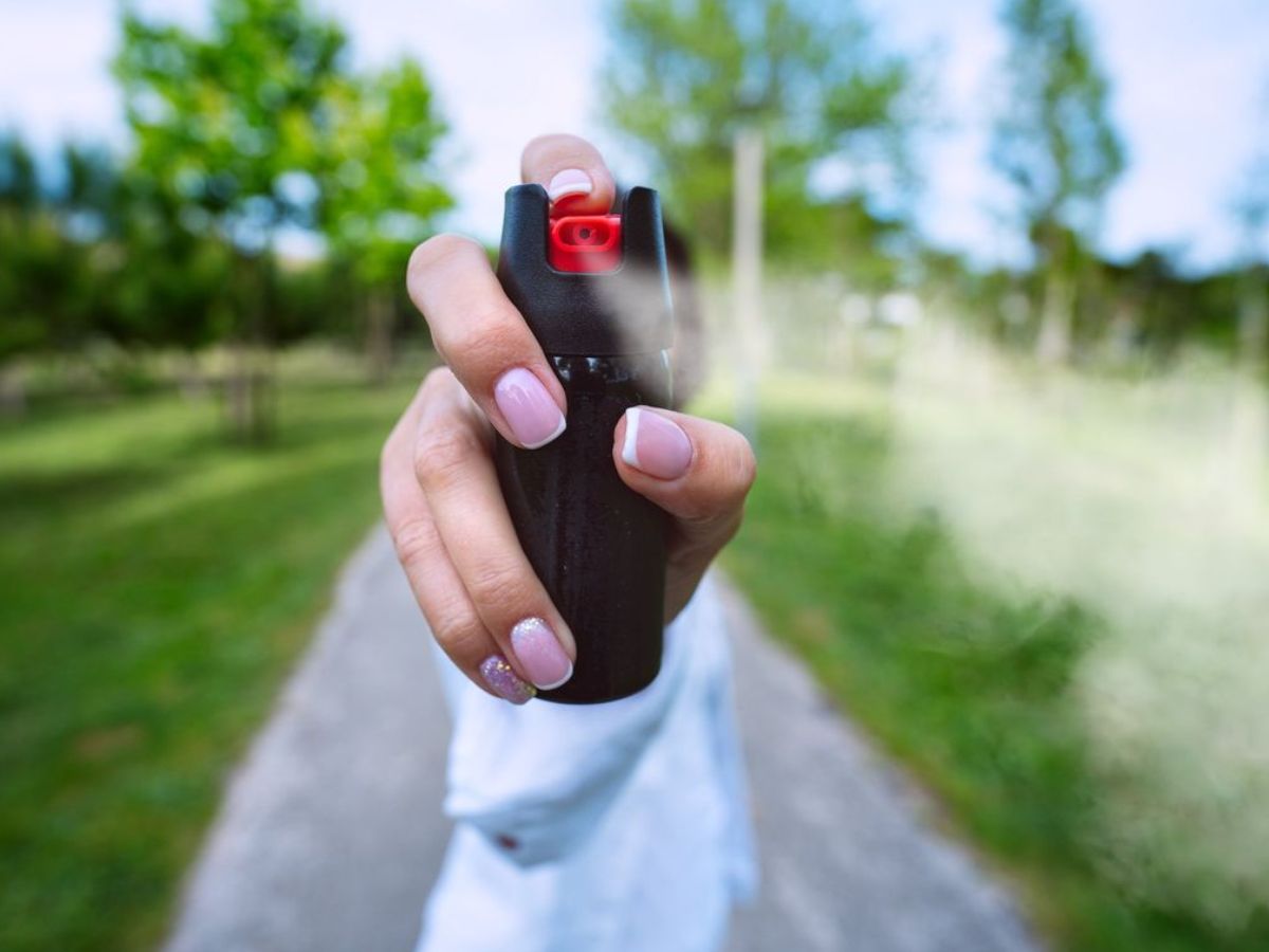 अगर गर्मियों में छिपकलियों से आप भी हो गए हैं परेशान तो अपना ले ये घरेलू नुस्खे - Photo Gallery