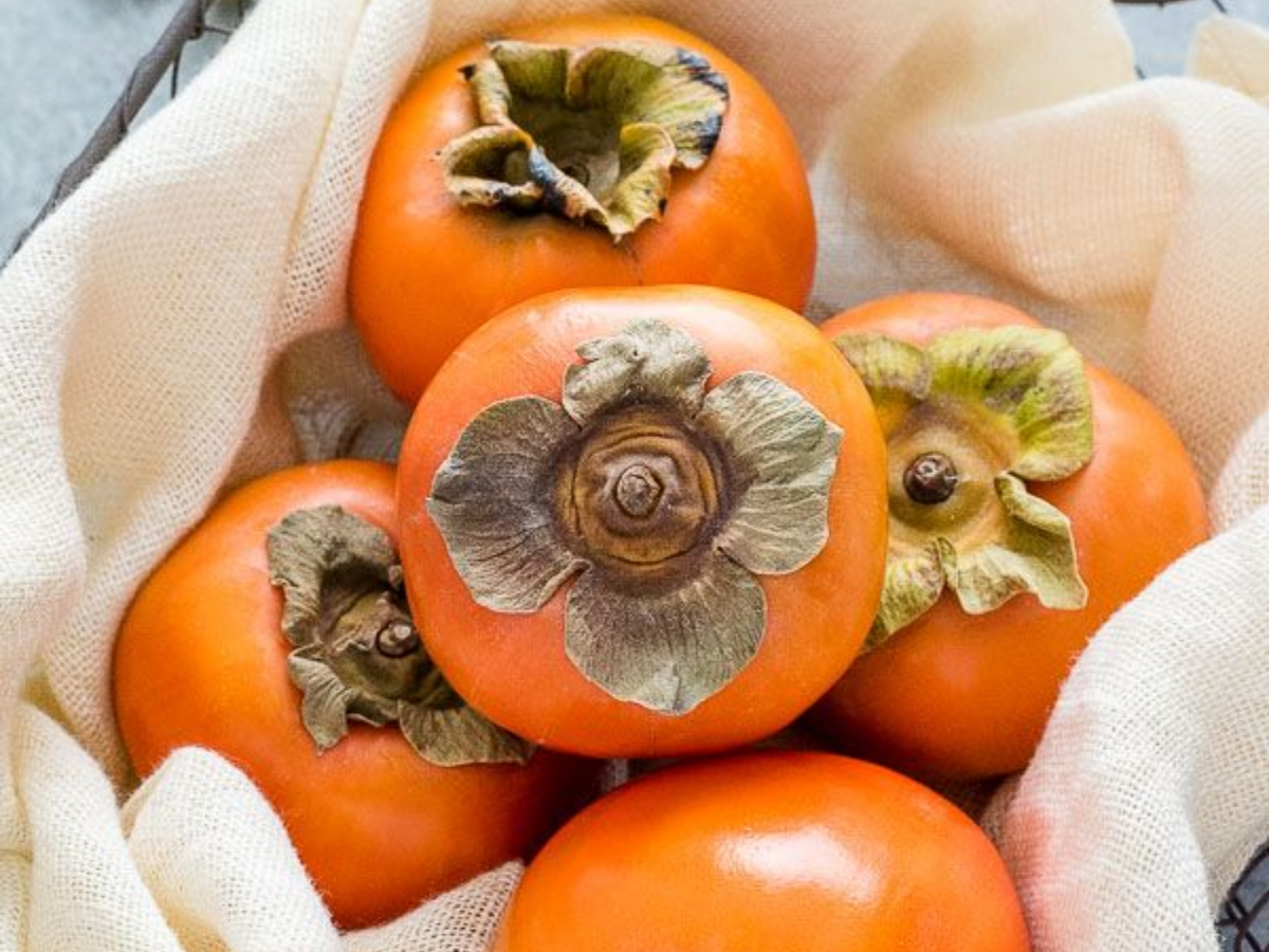 Top 7 fiber fruits: टॉप 7 फल जिसमें आपको मिलेगा फाइबर का भंडार और जो आपके शरीर को बनाएगा एकदम - Photo Gallery