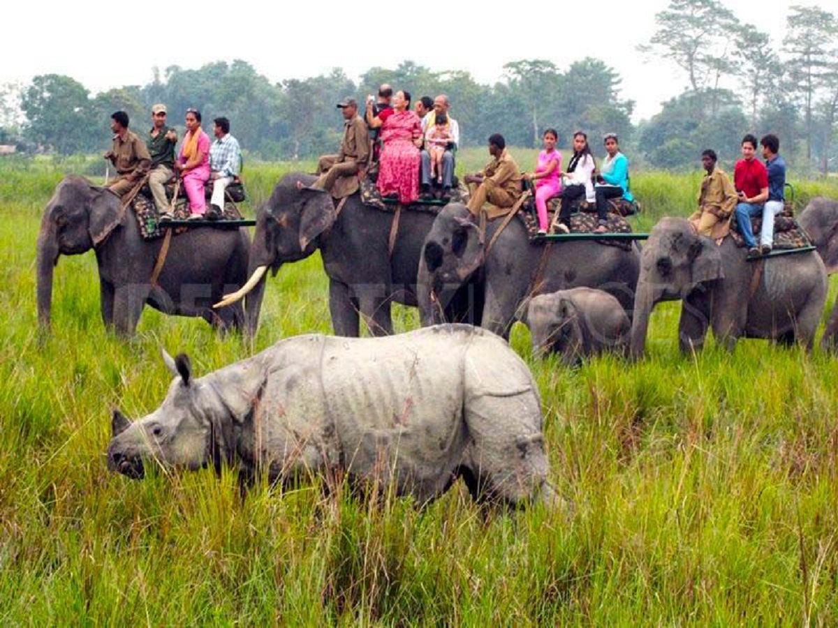 Kaziranga National Park: जानिए मानसून काजीरंगा नेशनल पार्क घूमने के कारण - Photo Gallery