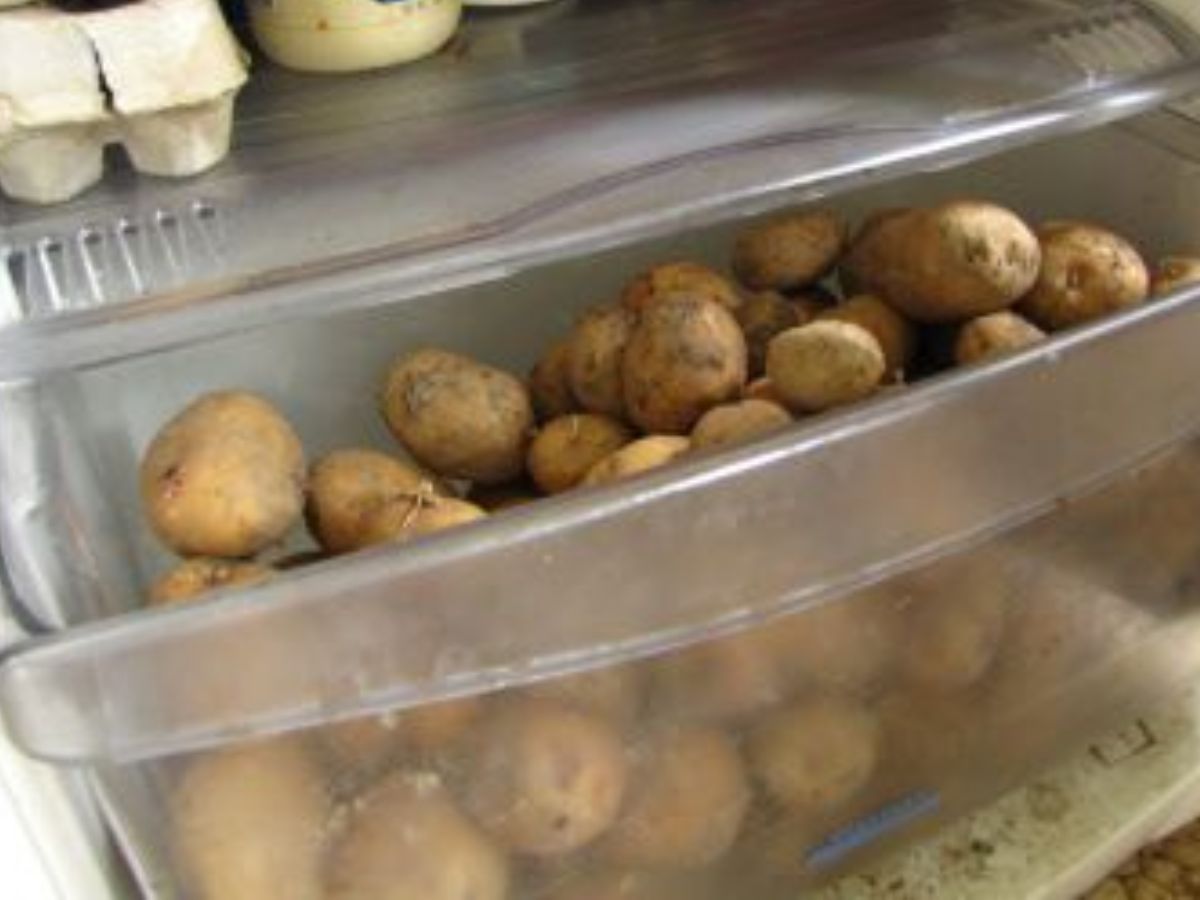 7 Food Items You Should Not Refrigerate: अगर आप भी अपने फ्रिज में रखते है इन सब चीजों को तो हो जाइए सावधान - Photo Gallery