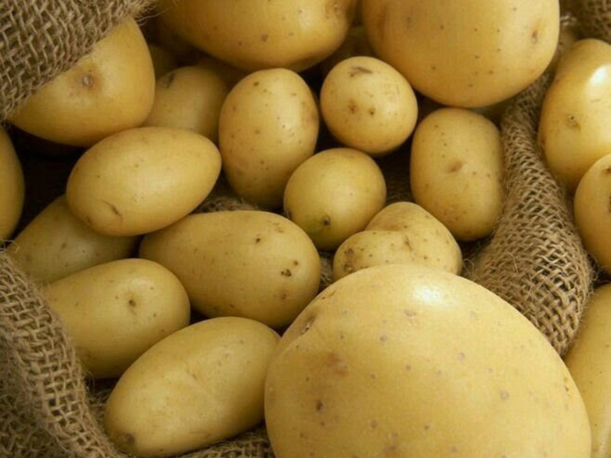 Never Refrigerate These Food Items:  अगर आप खाने की इन चीजो को रखते है फ्रिज मे तो हो जाइये सावधन, नहीं तो उसकी वजह से आपके शरीर को भी हो सकता है नुकसान - Photo Gallery