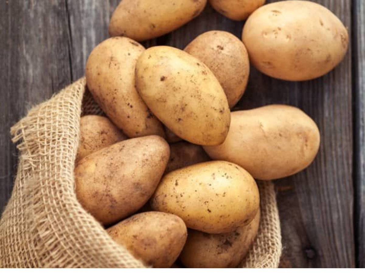 अगर आपके पास भी नहीं है फ्रिज तो अपनाएं ये कुछ खास नुस्खे - Photo Gallery