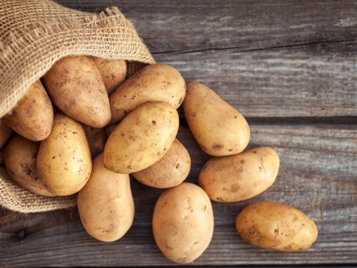 बैंगन से लेकर टमाटर तक, इन सब्जियों को कच्चा न खाने की सलाह देते है एक्सपर्ट्स - Photo Gallery