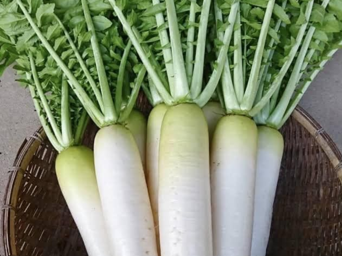 अगर आपके पास भी नहीं है फ्रिज तो अपनाएं ये कुछ खास नुस्खे - Photo Gallery