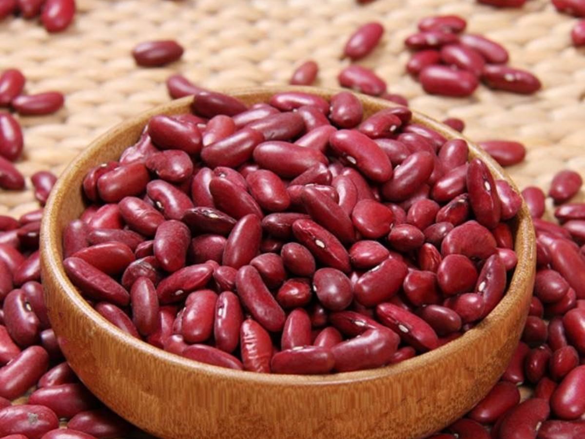 बैंगन से लेकर टमाटर तक, इन सब्जियों को कच्चा न खाने की सलाह देते है एक्सपर्ट्स - Photo Gallery