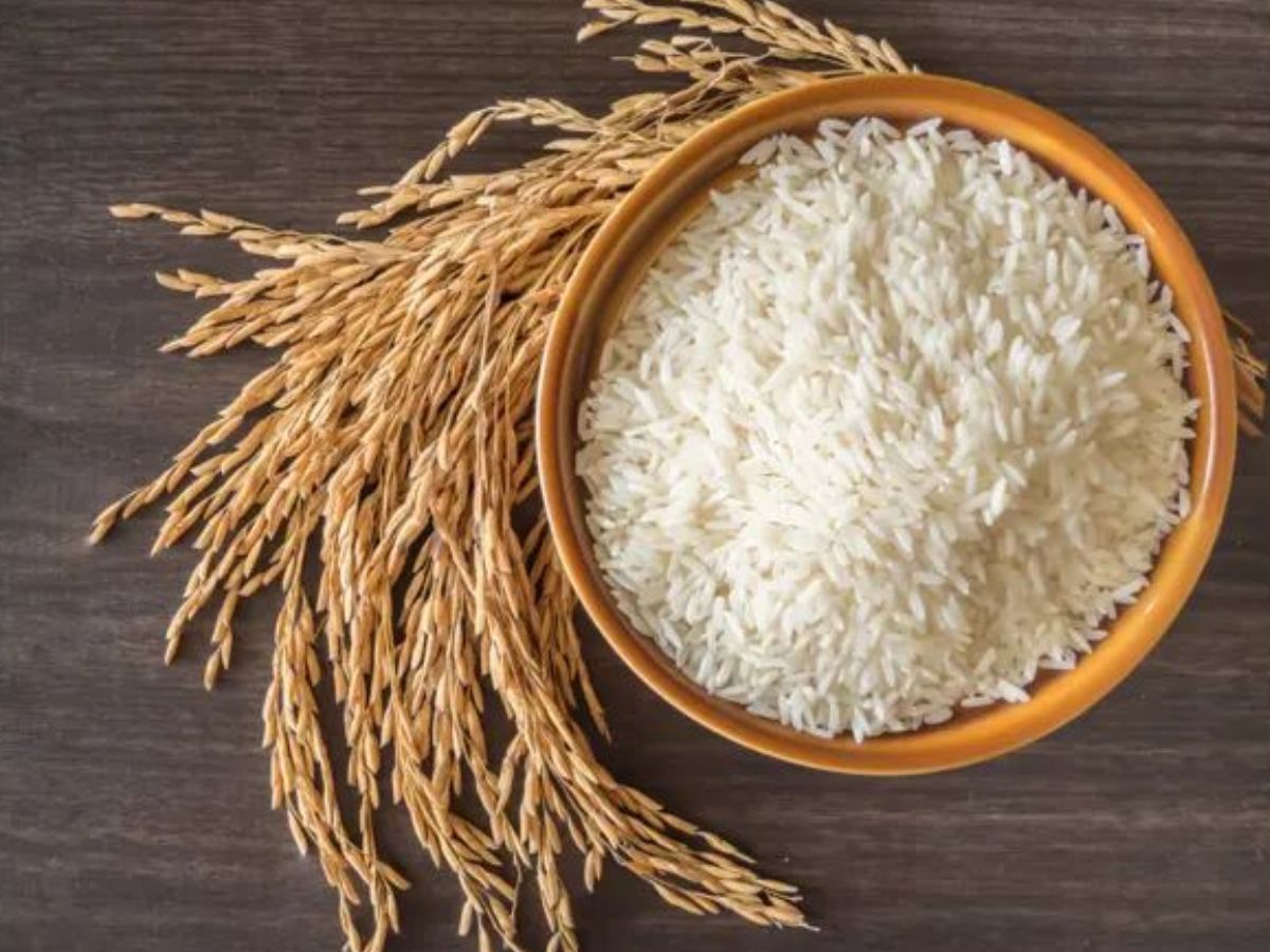 Roti vs Rice: जानें रात के समय चावल और रोटी में से क्या खाने से कम होता है वजन - Photo Gallery