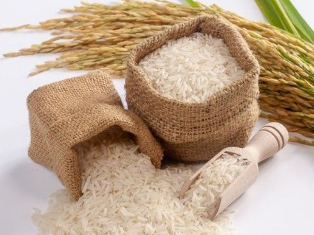 Roti vs Rice: जानें रात के समय चावल और रोटी में से क्या खाने से कम होता है वजन - Photo Gallery