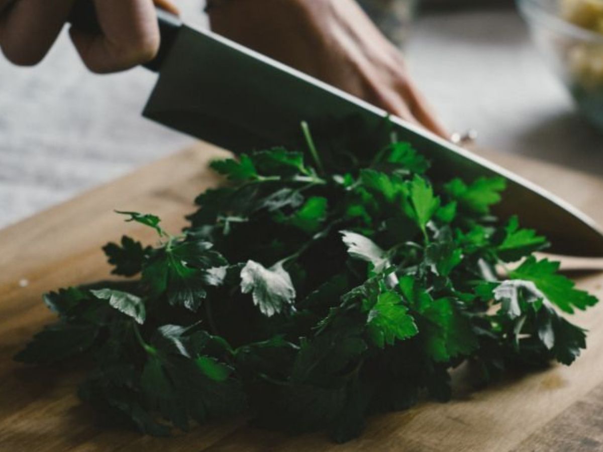 Benefits Of Coriander: आप भी अपने घर में धनिया उगाएं और उससे मिलने वाले लाभ का आंनद उठायें - Photo Gallery