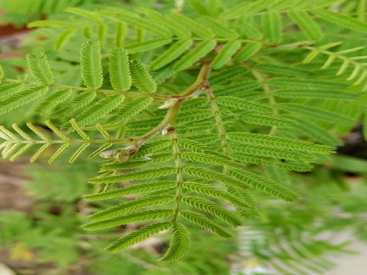 Sawan Shivratri 2025: शिवरात्रि के दिन करें शिव पुराण में बताए हुए यह पांच उपाय, बदल सकती है आपकी किस्मत - Photo Gallery