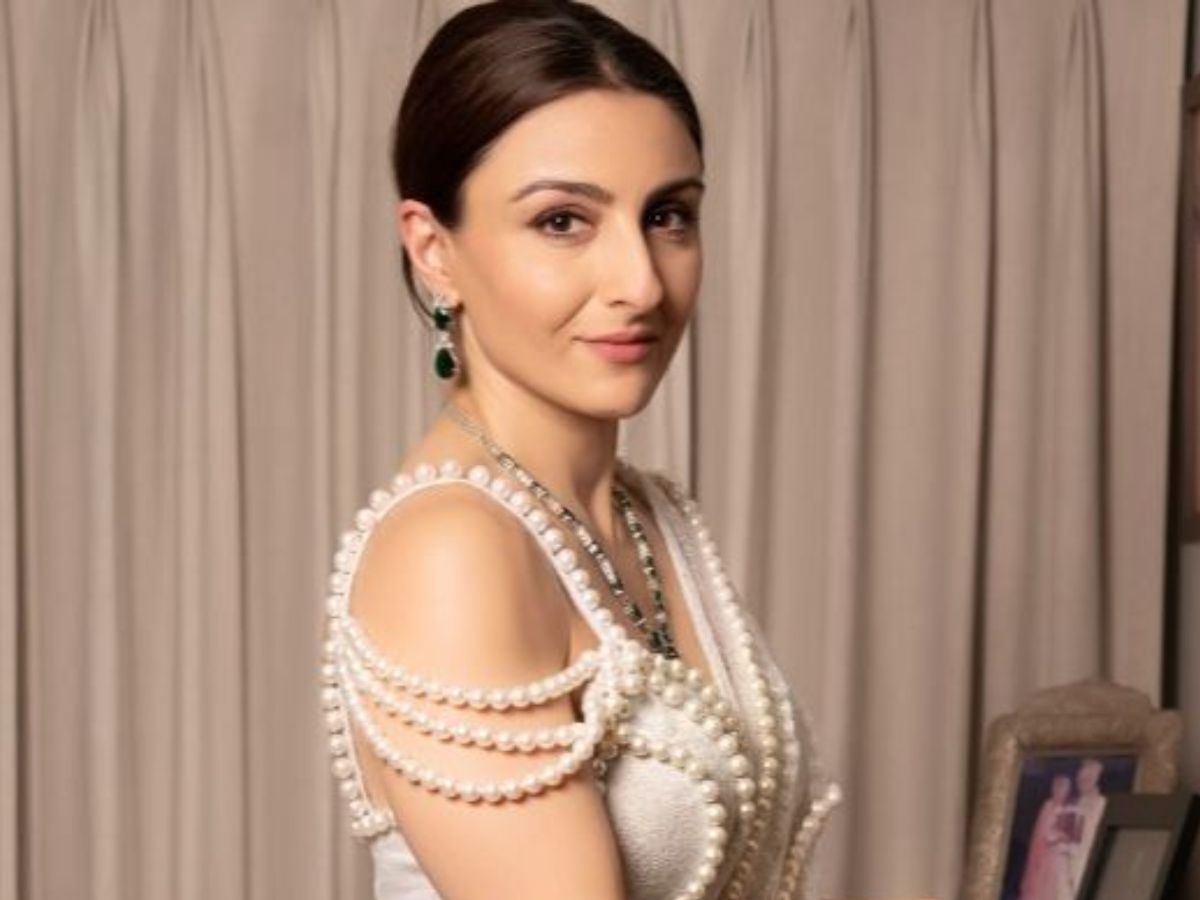 Stars With Degrees: अमिताभ बच्चन से लेकर सोहा अली खान समेत कई सितारों ने अपनी पढ़ाई और एक्टिंग से किया सभी को हैरान - Photo Gallery