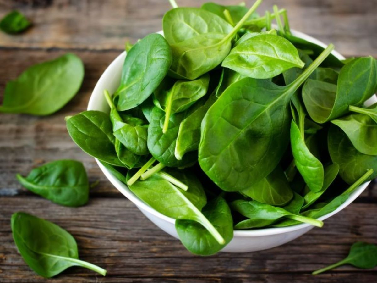 मीट से लेकर चावल तक, कुछ चीजों को दोबारा गर्म करना पड़ सकता है आपको भारी - Photo Gallery