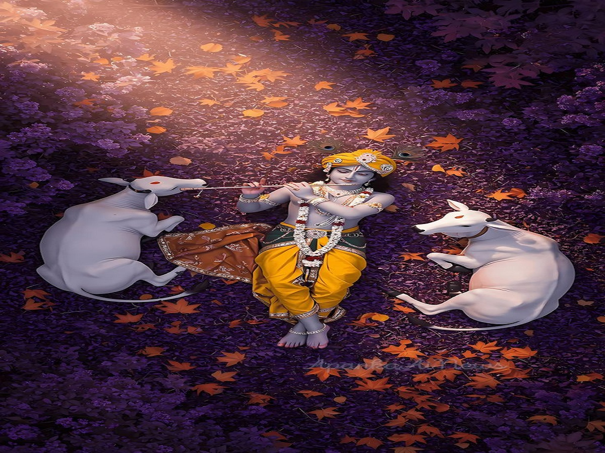 Janmashtami 2025: कब मनाई जाएगी श्री कृष्ण की जन्मलीला? जानें तिथि, पूजन विधि और शुभ मुहूर्त - Photo Gallery