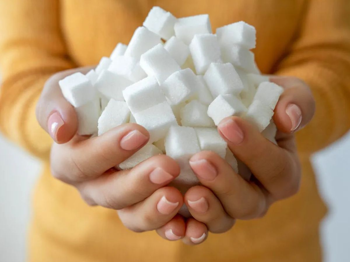 Avoid During Pregnancy: प्रेगनेंसी के समय भूलकर भी न खाएं ये चीजे - Photo Gallery