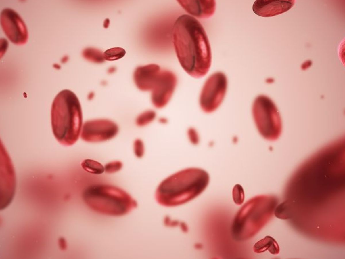 Avoid Mixing Supplements: भूलकर भी आयरन और कैल्शियम की दवाई न लें एकसाथ हो सकता है नुकसान - Photo Gallery