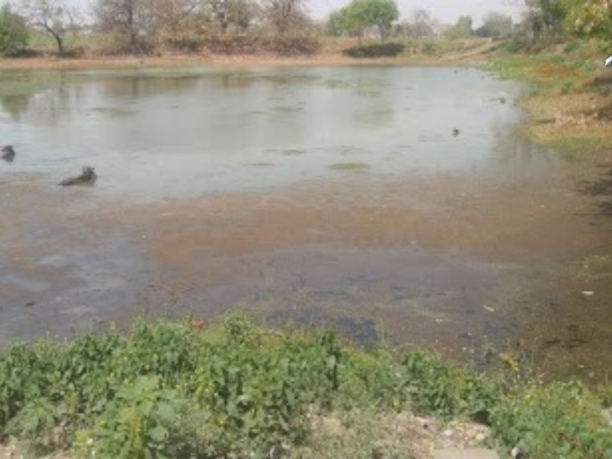 Monsoon 2025:  इस  monsoon सीजन रहना है  healthy ? रखे इन चीज़ो का ध्यान। - Photo Gallery