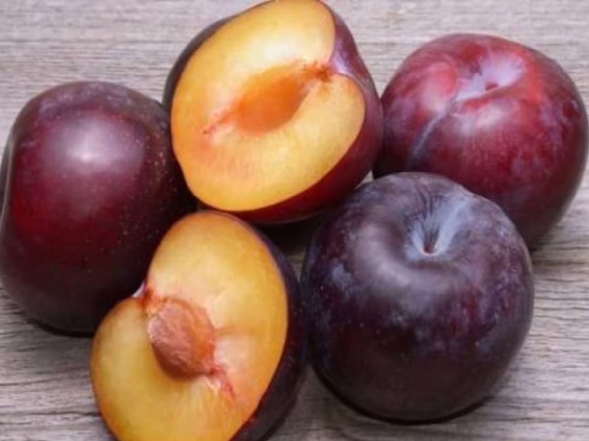 Summers 2025: इस गर्मी खाये ये dry fruits जो रखे आपकी बॉडी को कूल। - Photo Gallery