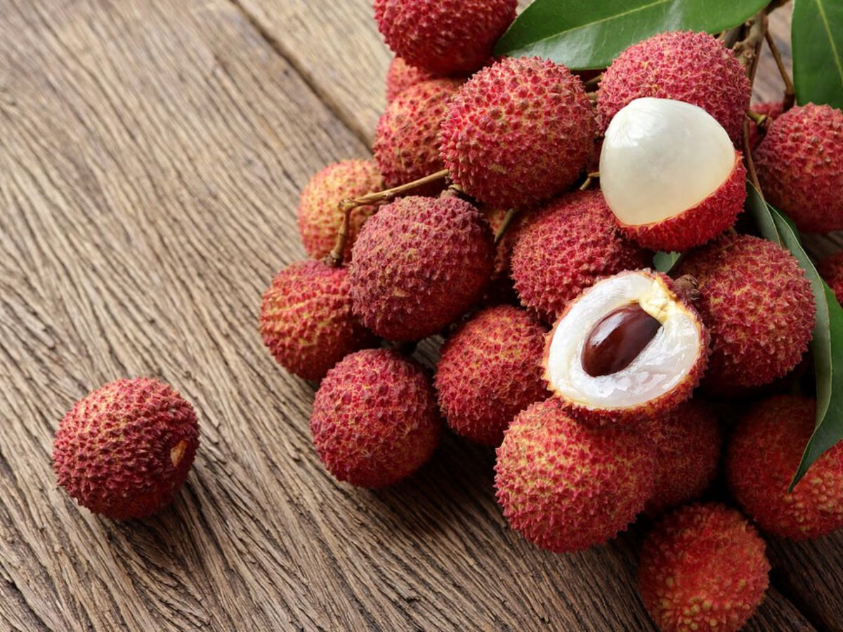 Monsoon 2025:बारिश के मज़े बनाओ दोगुने ,इन फूड्स के बिना है मजे़ अधूर - Photo Gallery