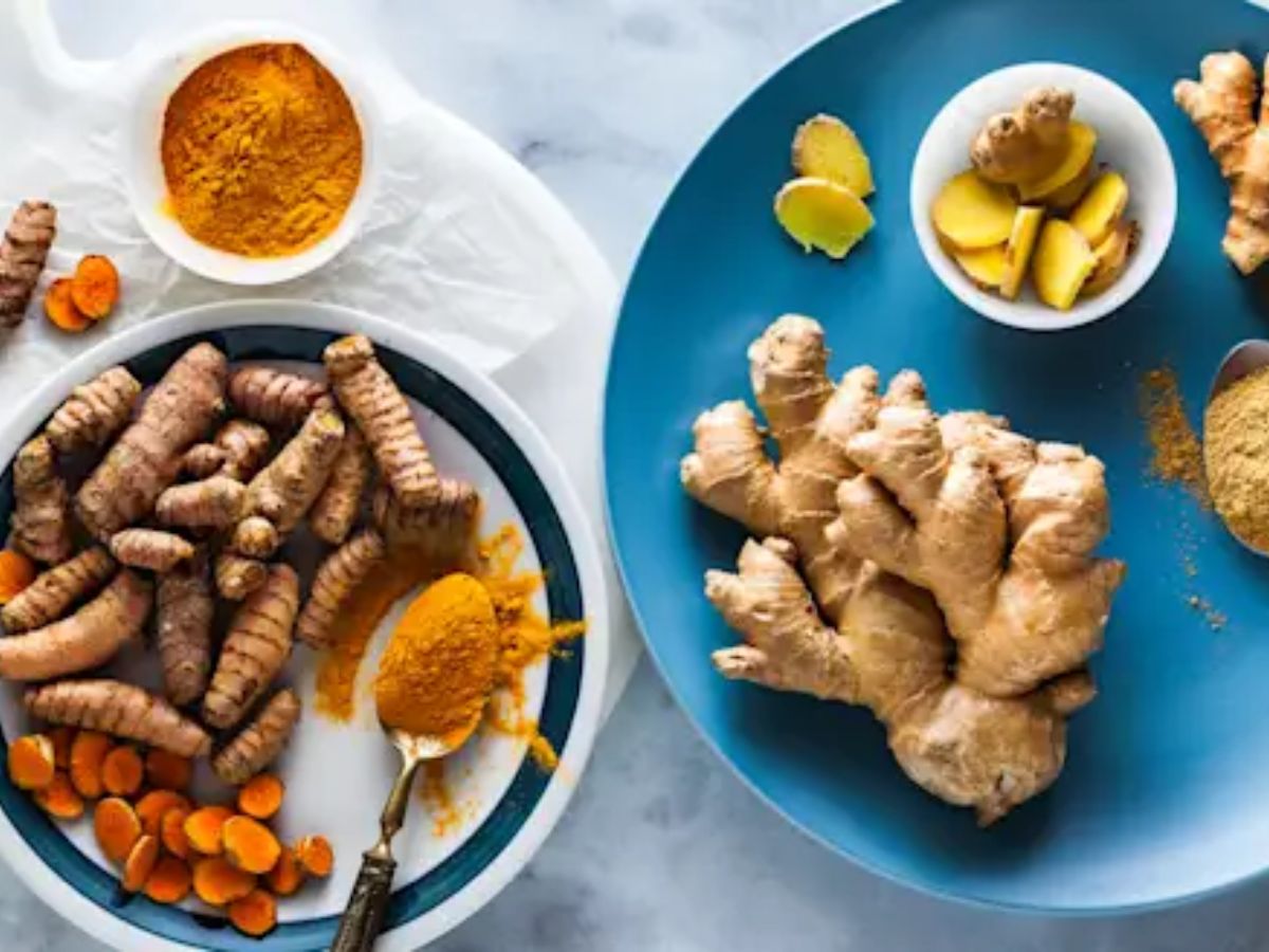 Monsoon 2025: इस मानसून सीज़न ये 7 तरीके अपनाए और अपनी इम्युनिटी बड़ाए - Photo Gallery