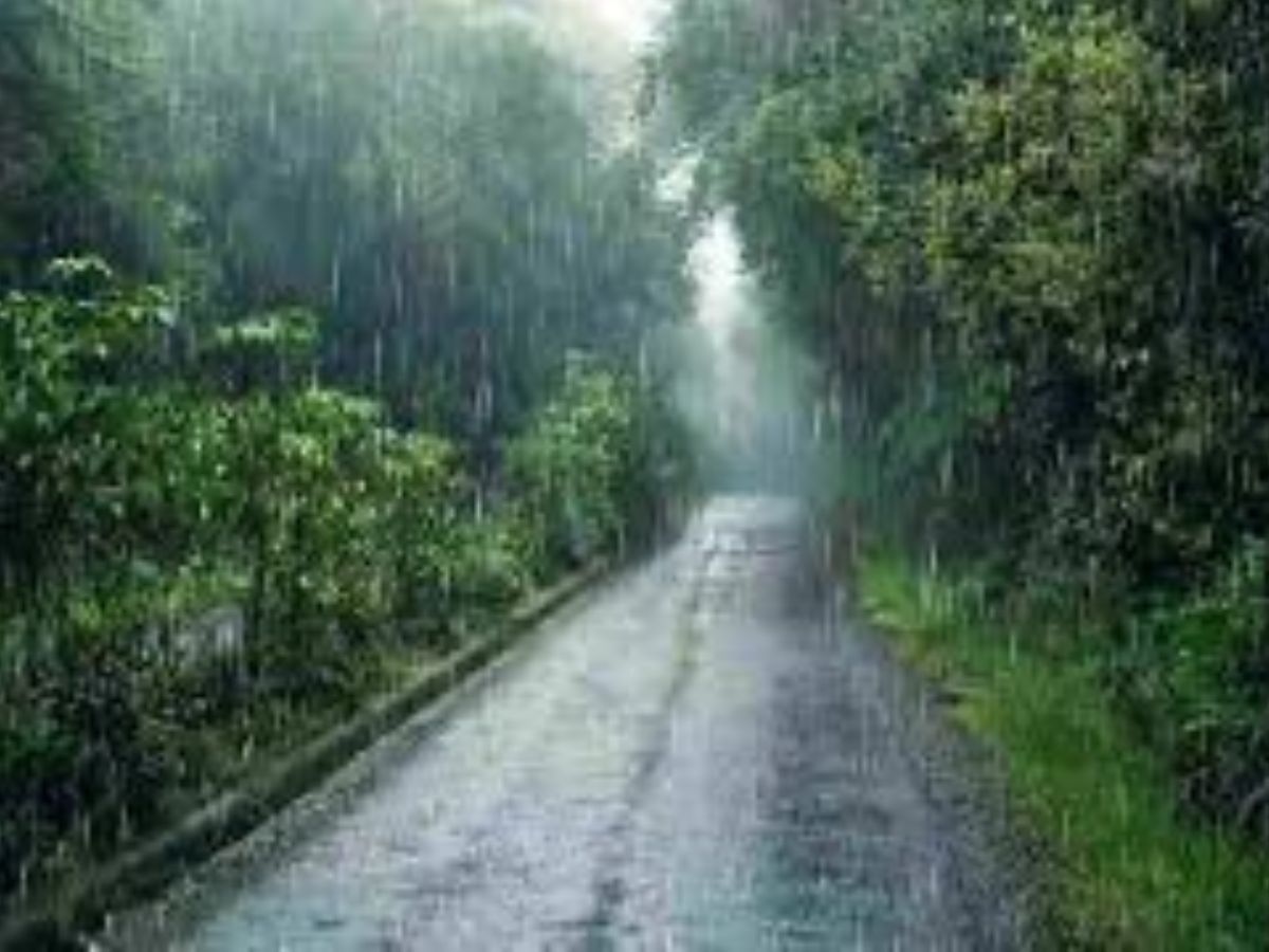 Sawan 2025: एक बार फिर आया सावन लेकर अपने साथ बरसात, चलेगी इसकि बौछार 11 जुलाई से 9 अगस्त तक। - Photo Gallery