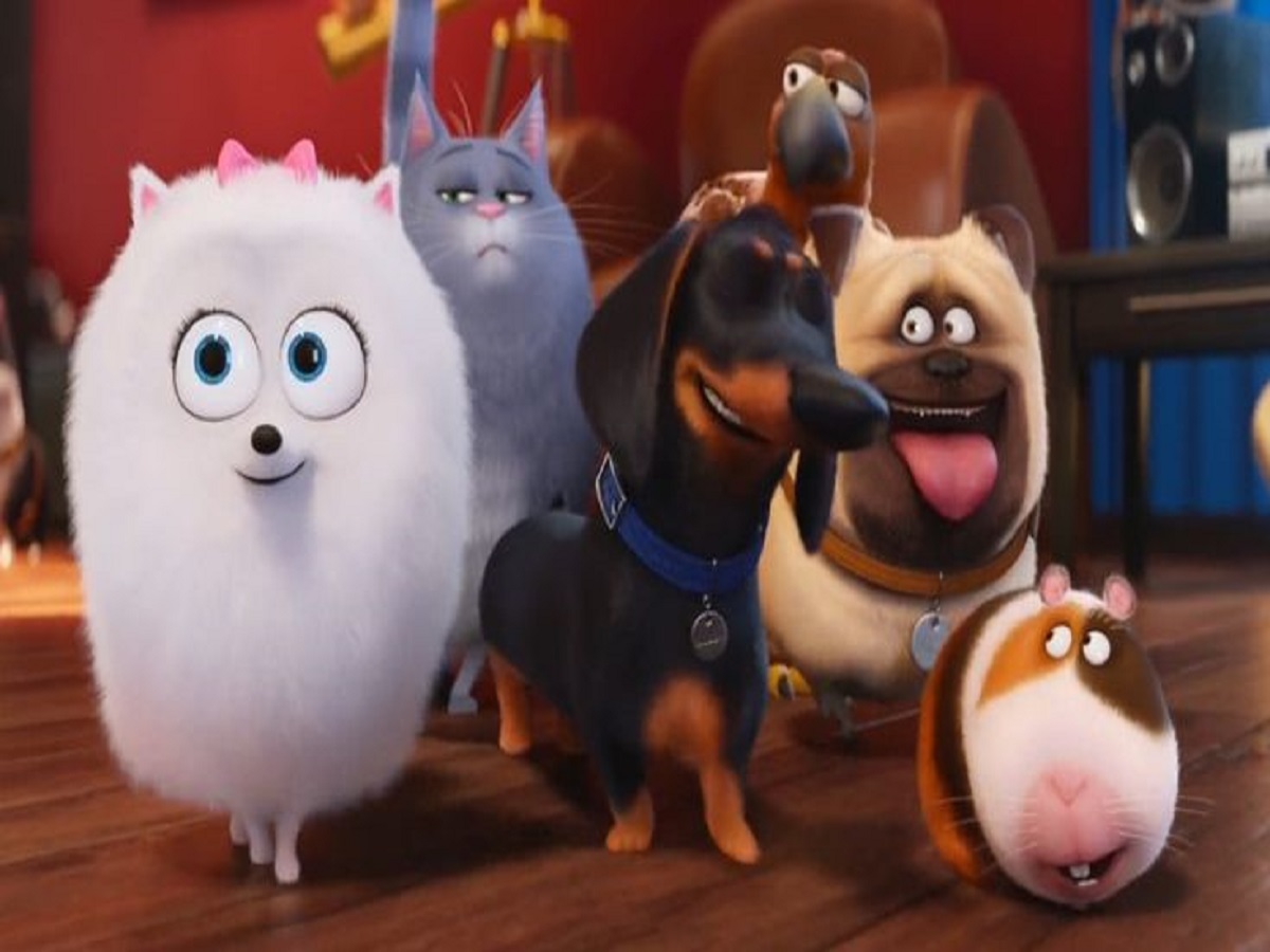 Top 7 Dog movies –  7 एसे बहतरीन डॉग्स फिल्में जिसे आप और आपके घर वाले हो जाऐगें देखकर खुश - Photo Gallery