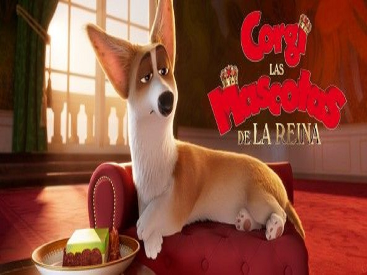 Top 7 Dog movies –  7 एसे बहतरीन डॉग्स फिल्में जिसे आप और आपके घर वाले हो जाऐगें देखकर खुश - Photo Gallery