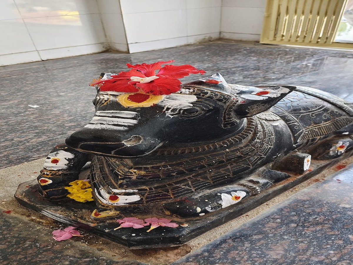 क्या नंदी के कान में बोलने से सच में पूरी होती है हर इच्छा? जानिए धार्मिक रहस्य - Photo Gallery