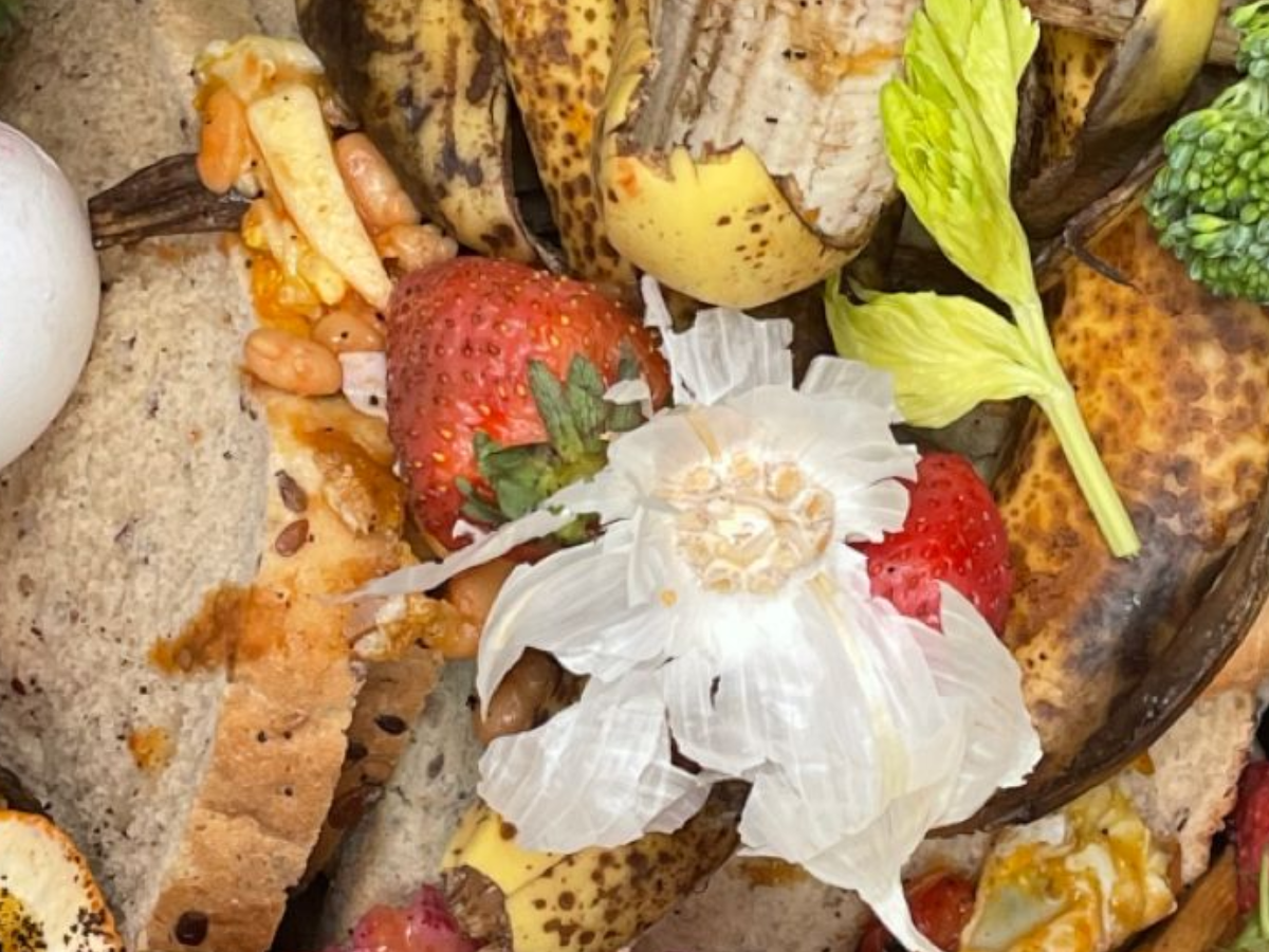 Use of substandard materials and stale items - Photo Gallery