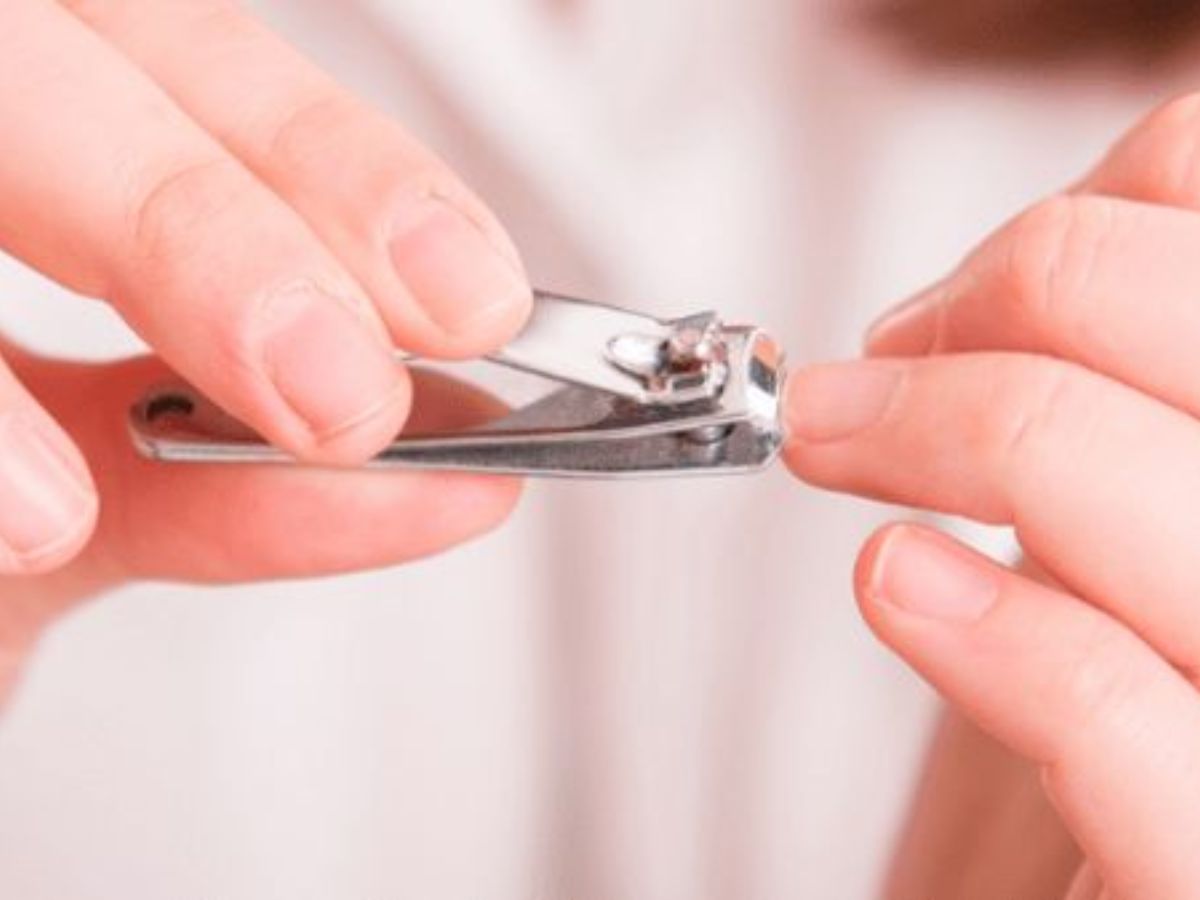 रखे अपने नाखूनों चमकदार और गंदगी से दूर, इस्तेमाल करे Nail Cutter में छुपे इन चाकुओं का और पाए अनेक लाभ - Photo Gallery
