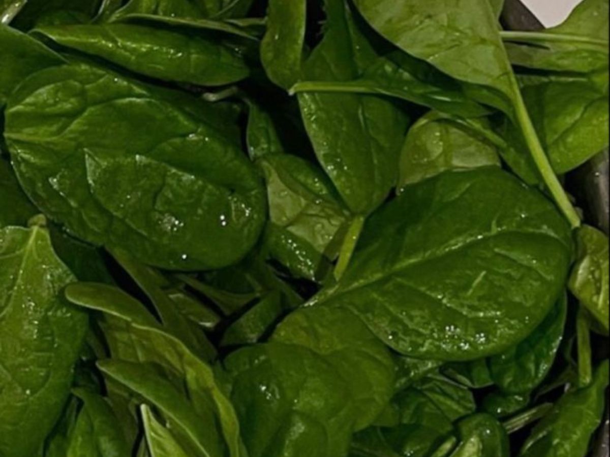 कमजोर नजरे तेज करे और आँखो की रोशनी बढ़ाए, खाए ये 6 फूड्स जो बनाए आपकी आंखों को मजबूत - Photo Gallery