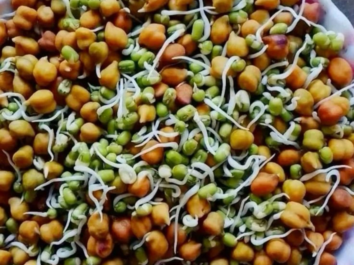 Benefits of eating sprouted chickpeas for breakfast - Photo Gallery