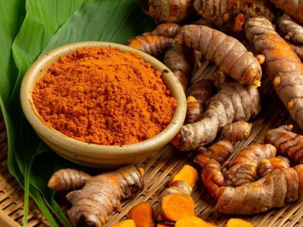 Monsoon में रखना है खुद को स्वस्थ, तो इस्तमाल कर सकते हैं ये जड़ी बूटियां, रहेंगे चुस्त और बढ़ेगी इम्युनिटी - Photo Gallery