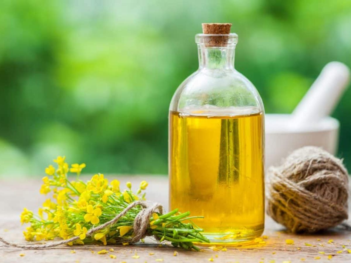 खाना बनाने में करें इन तेलों का इस्तेमाल, हो सकते हैं Cholestrol और Heart disease जैसी गंभीर बीमारियों से मुक्त - Photo Gallery