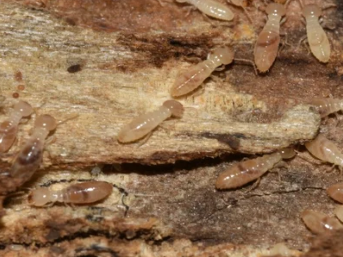 Clean the right way - Photo Gallery