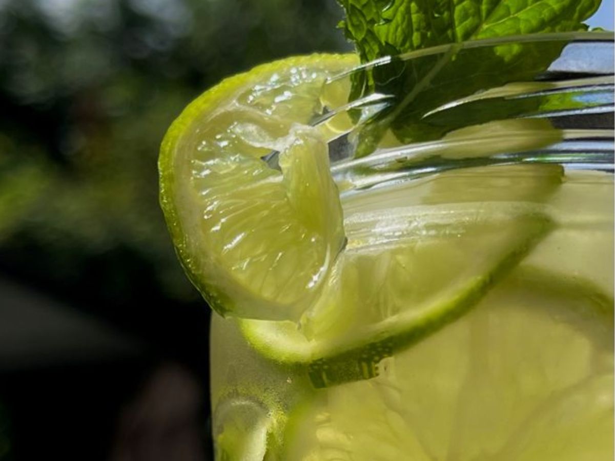 क्या आपको भी अपना वजन करना है कम ? तो लेकर आए है हम दो असरदार वजन घटने वाले विकल्प, जानिये वो क्या है और कैसे करेंगे आपकी मदद - Photo Gallery