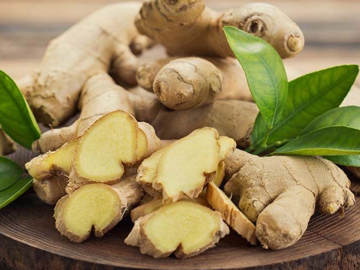 Monsoon में रखना है खुद को स्वस्थ, तो इस्तमाल कर सकते हैं ये जड़ी बूटियां, रहेंगे चुस्त और बढ़ेगी इम्युनिटी - Photo Gallery