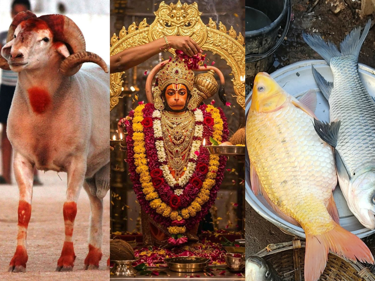 In the temples of Assam, fish and goat meat are offered as prasad. - Photo Gallery