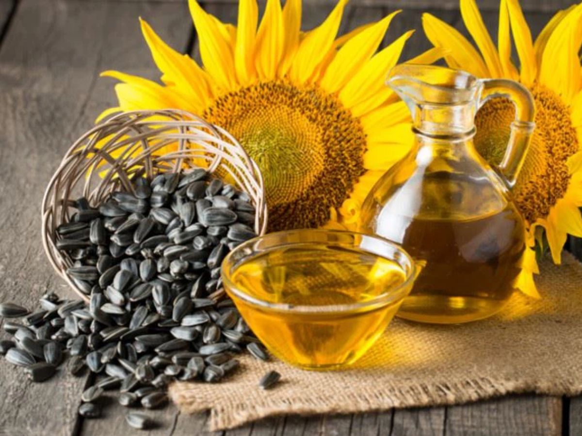 खाना बनाने में करें इन तेलों का इस्तेमाल, हो सकते हैं Cholestrol और Heart disease जैसी गंभीर बीमारियों से मुक्त - Photo Gallery