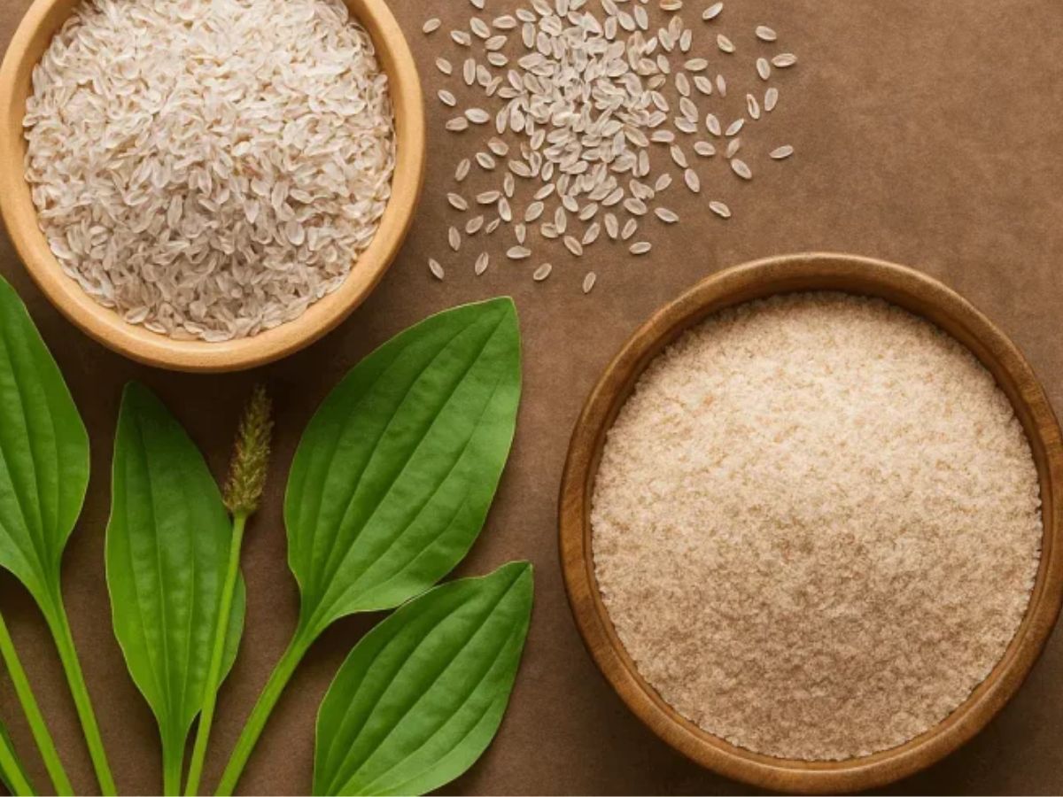 कब्ज, गैस और थकान से चाहिए छुटकारा? सोने से पहले पिए ये ड्रिंक और पाए साफ पेट वो भी फुल एनर्जी के साथ - Photo Gallery