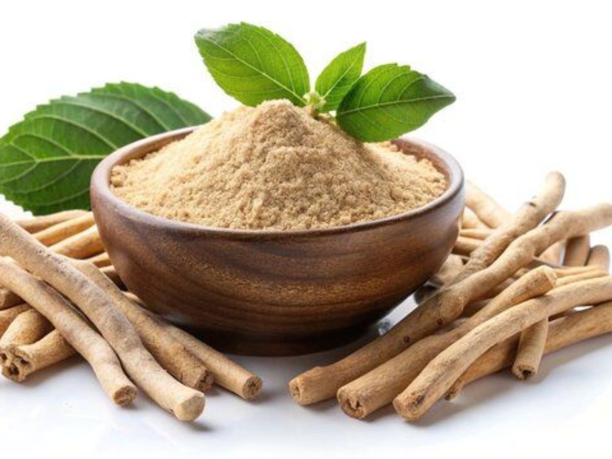 Monsoon में रखना है खुद को स्वस्थ, तो इस्तमाल कर सकते हैं ये जड़ी बूटियां, रहेंगे चुस्त और बढ़ेगी इम्युनिटी - Photo Gallery