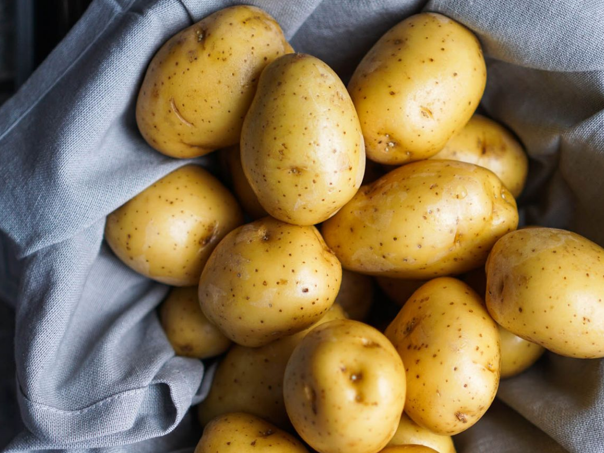 Remedy for boiled potatoes - Photo Gallery