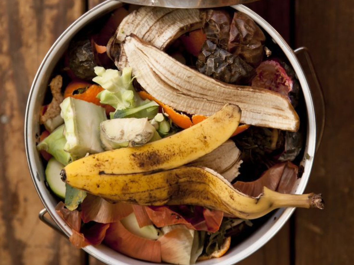 Lack of hygiene - Photo Gallery