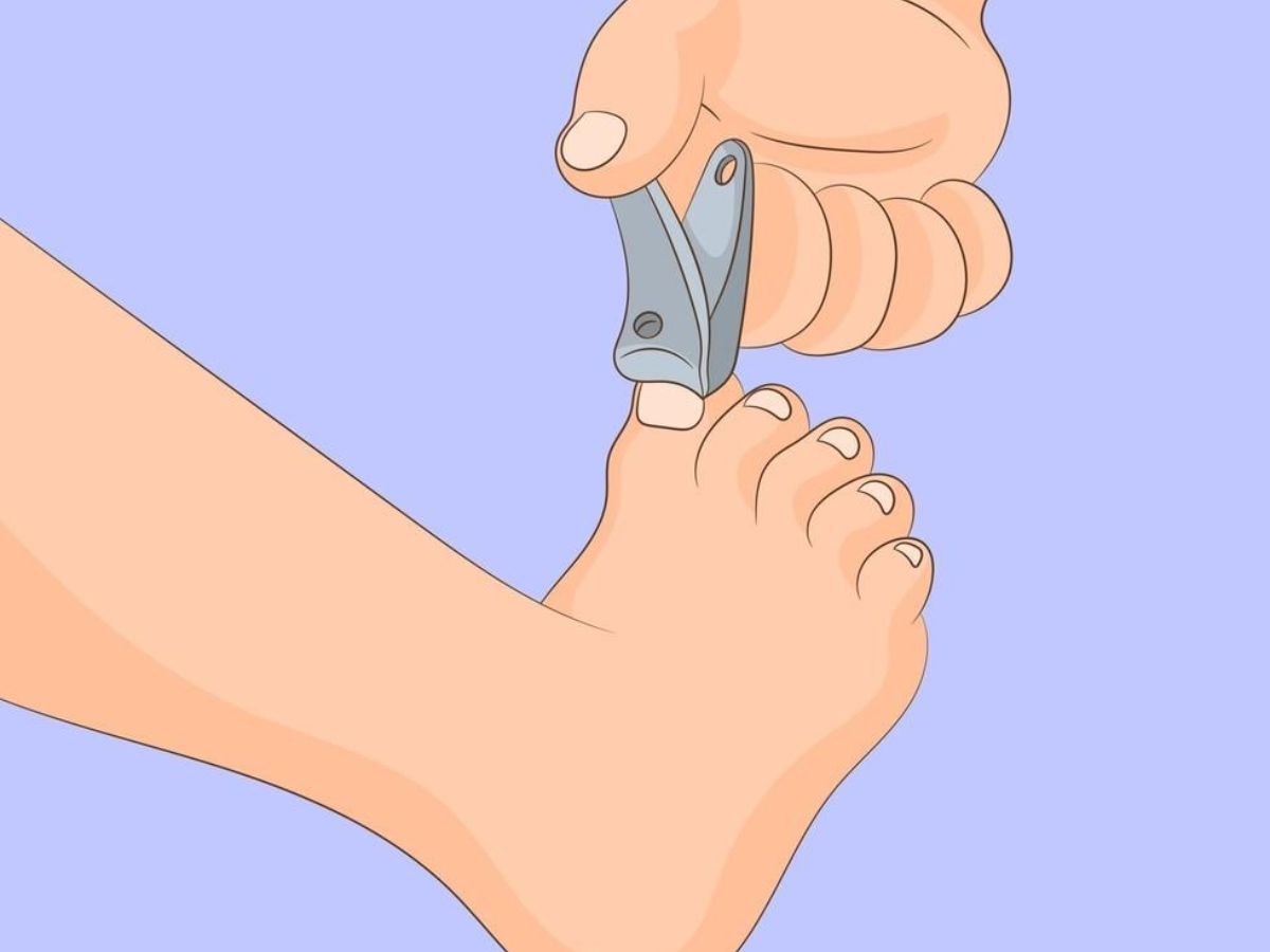 रखे अपने नाखूनों चमकदार और गंदगी से दूर, इस्तेमाल करे Nail Cutter में छुपे इन चाकुओं का और पाए अनेक लाभ - Photo Gallery