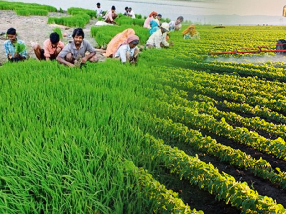 सीमाओ से सितारो तक, भारत की वो उपलब्धियाँ जिन्होंने लिखी सम्मान, जीत और पहचान की कहानियाँ - Photo Gallery