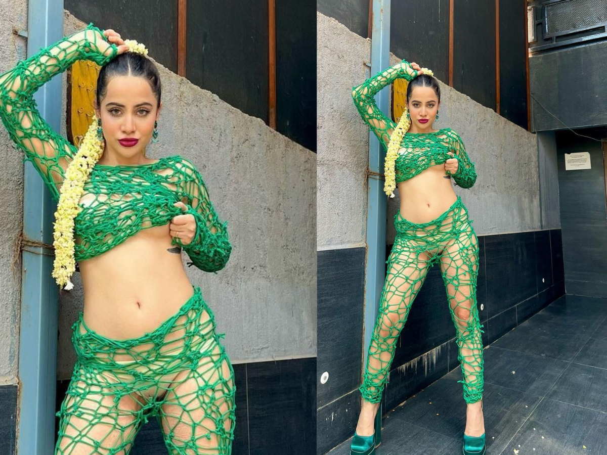 Urfi Javed's net dress - Photo Gallery