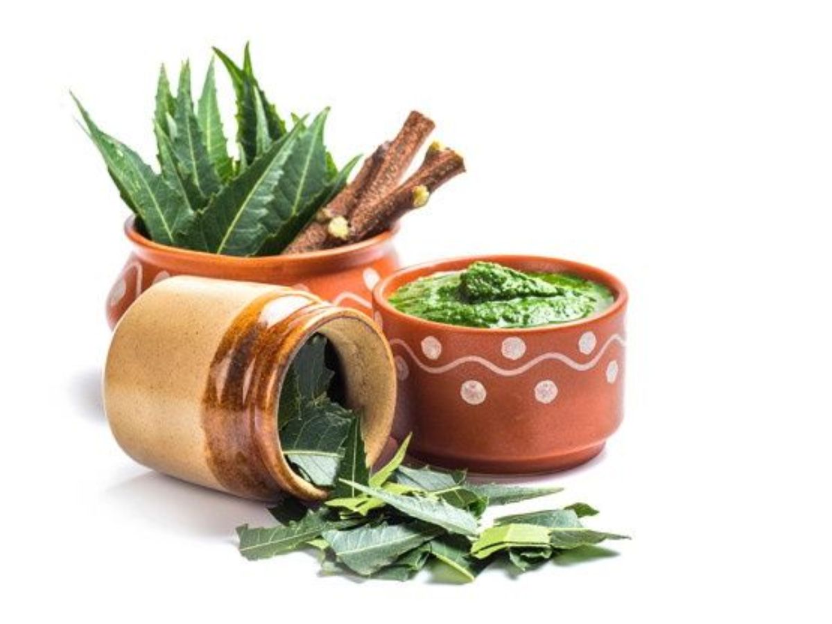 Monsoon में रखना है खुद को स्वस्थ, तो इस्तमाल कर सकते हैं ये जड़ी बूटियां, रहेंगे चुस्त और बढ़ेगी इम्युनिटी - Photo Gallery