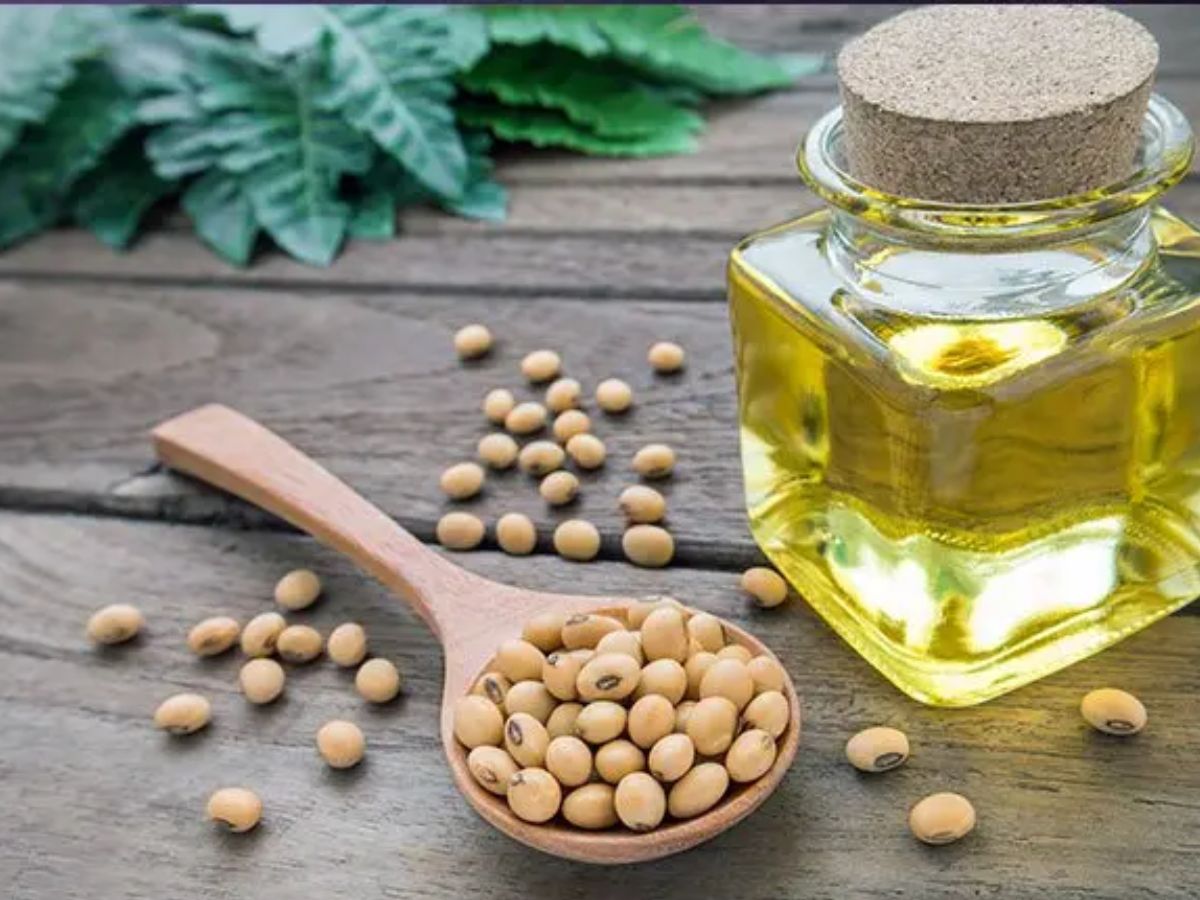 खाना बनाने में करें इन तेलों का इस्तेमाल, हो सकते हैं Cholestrol और Heart disease जैसी गंभीर बीमारियों से मुक्त - Photo Gallery