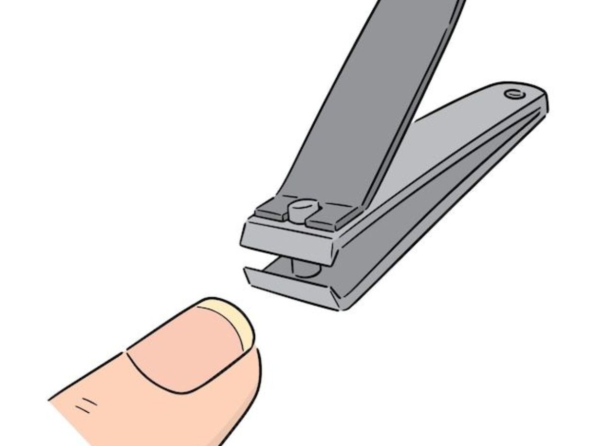 रखे अपने नाखूनों चमकदार और गंदगी से दूर, इस्तेमाल करे Nail Cutter में छुपे इन चाकुओं का और पाए अनेक लाभ - Photo Gallery